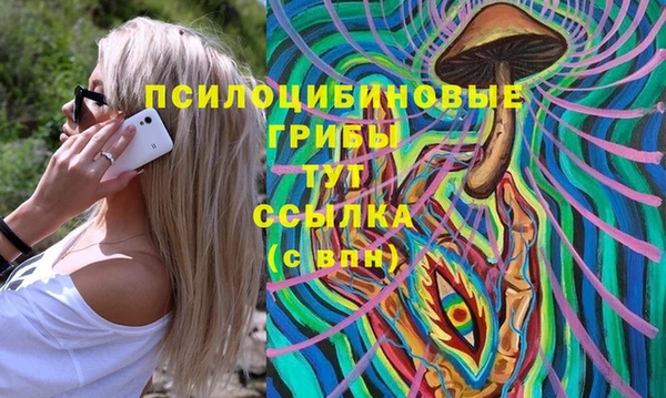 COCAINE Няндома