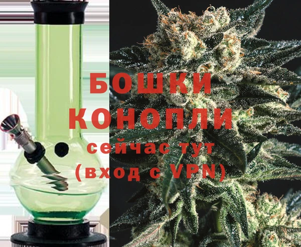 МДПВ Нефтегорск