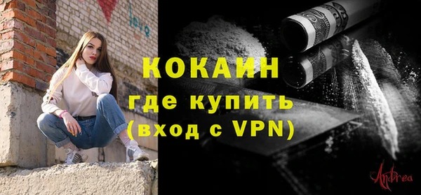 МДПВ Нефтегорск
