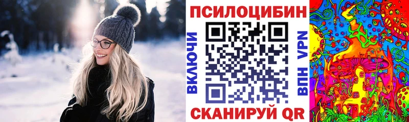 Псилоцибиновые грибы Cubensis  это клад  Полесск 